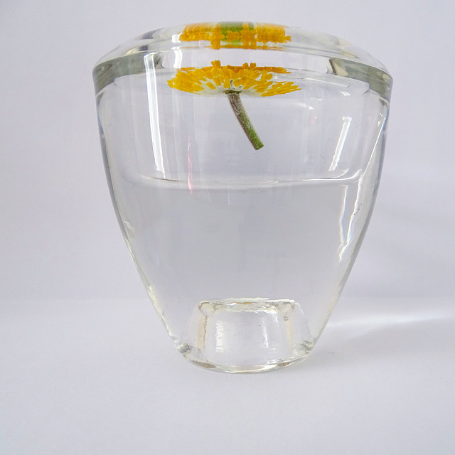 Glass and Flower