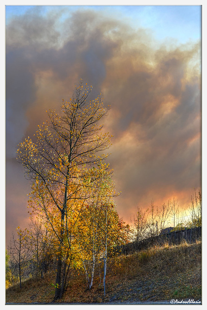 L'autunno in fumo