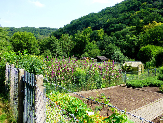 DE - Heimbach - Allotment gardens