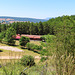 Bosque animado de Ilundáin (Navarra), 11