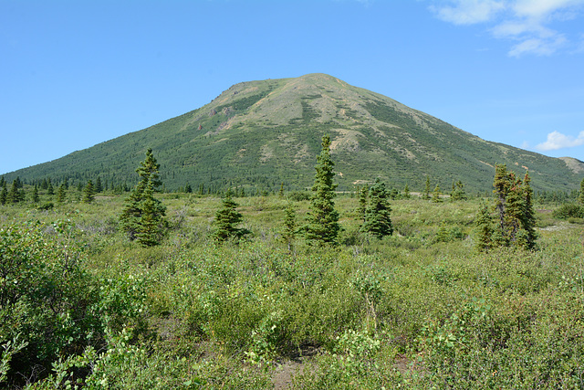 Alaska, Donnelly Dome