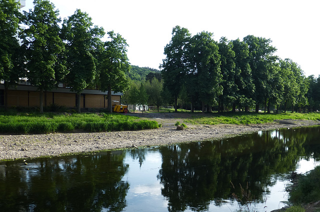 Spiegelung auf der Ahr