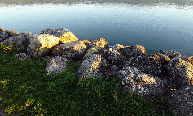 Morgendliche Farbpalette am Wasser