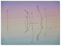 87 Art moderne à l'APN...