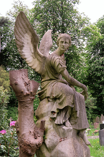 st pancras and islington cemetery, east finchley , london