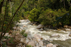 River IMG_2465