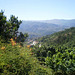 Landscape over Douro valley.