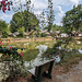 Banc solitaire de lieu de culte / Worship site's lonely bench