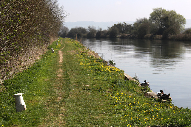 The towpath