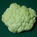 Coliflor