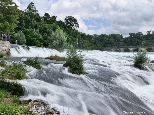 Hochwasser am Rheinfall 2021