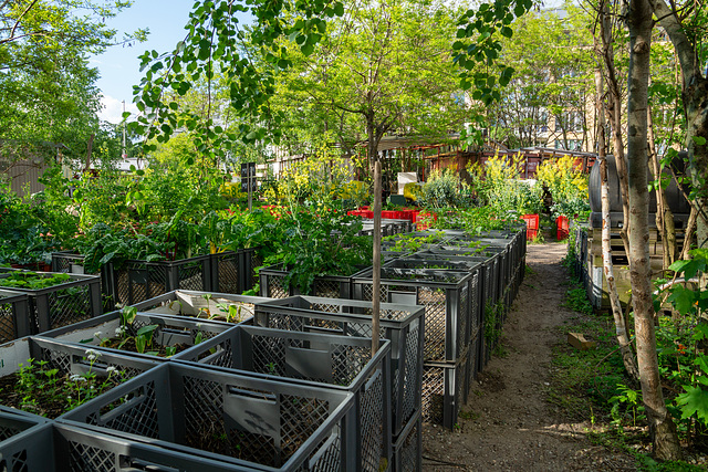 Berlin - Prinzessinnengarten Kreuzberg