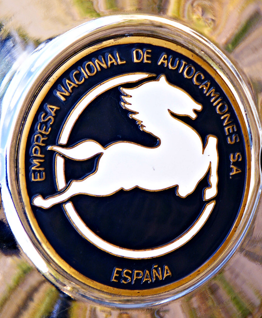 PEGASO