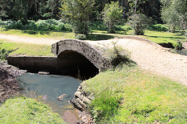 Splash Bridge