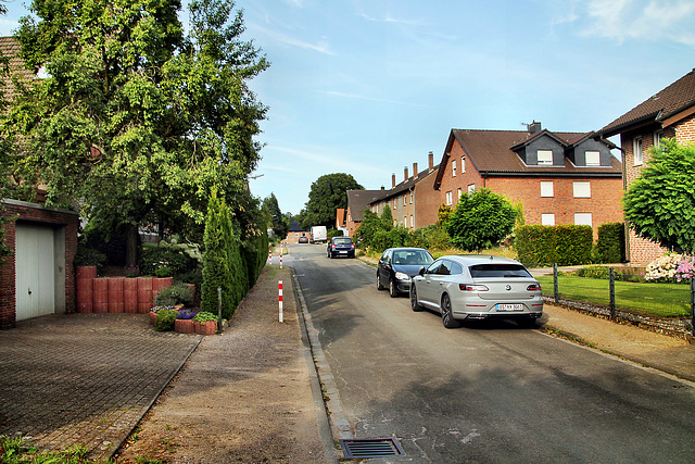 Bergstraße (Dorsten-Rhade) / 20.07.2024