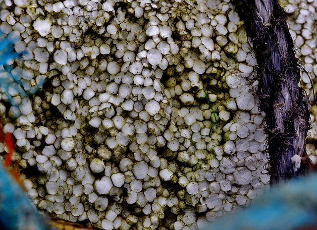 Polystyrene Float