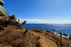 Promenade Funchal (© Buelipix)