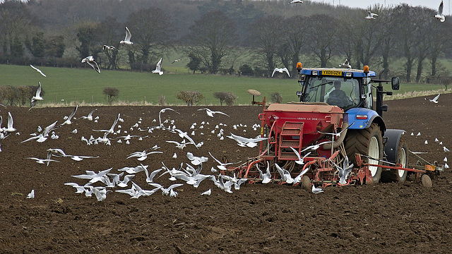 Bird-a-Tractor