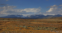 Hardangerjøkulen glacier at Hardangervidda mountain plateau