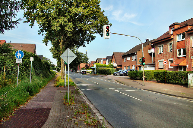 Lembecker Straße (Dorsten-Rhade) / 20.07.2024