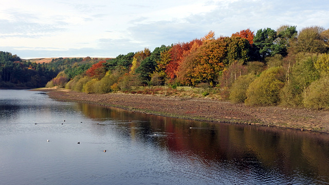 Autumn colours