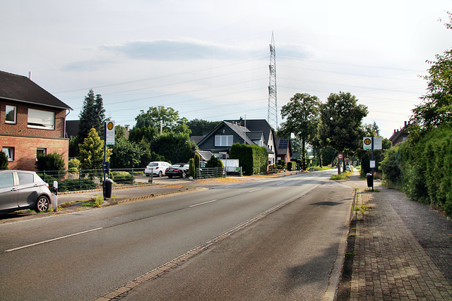 Lembecker Straße (Dorsten-Rhade) / 20.07.2024