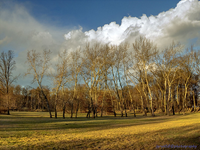 Sunny Afternoon