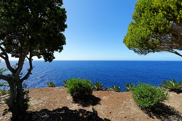 Promenade Funchal (© Buelipix)