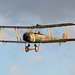 Avro 504 in Evening Light