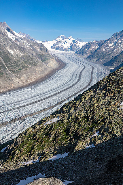 190725 Eggishorn Aletsch 10