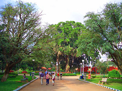 Die Bank im Lalbagh-Garden