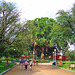 Die Bank im Lalbagh-Garden