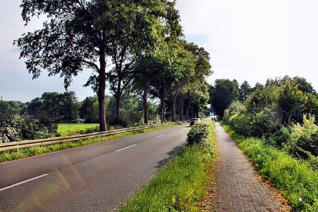 Lembecker Straße (Dorsten-Rhade) / 20.07.2024