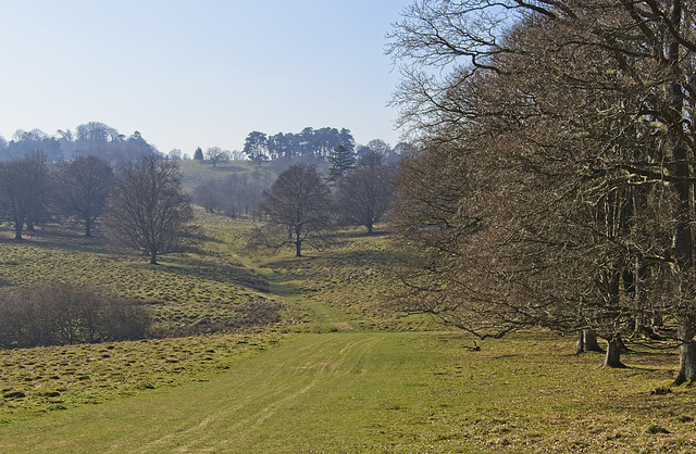 Petworth Park