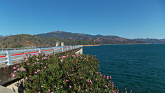 Shasta Dam