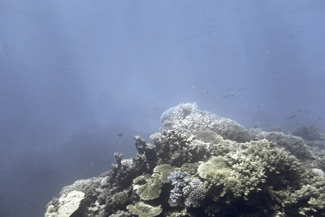 Great Barrier Reef