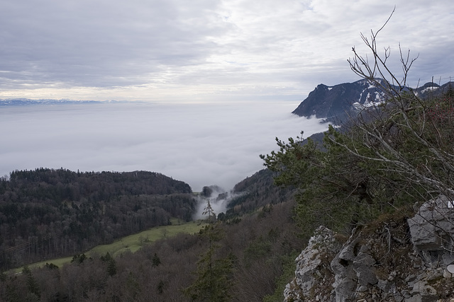 Nebelmeer