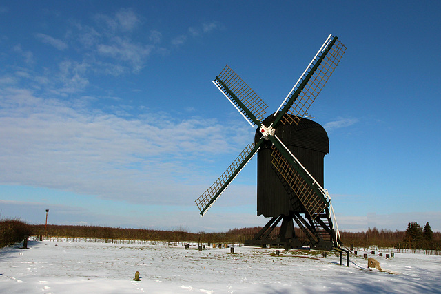 Standerd molen bij Ter Apel