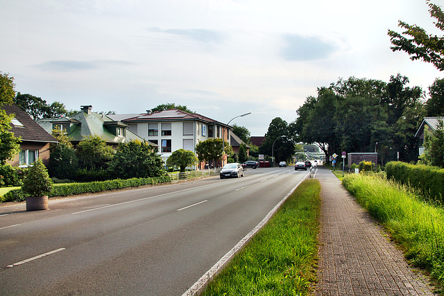 Lembecker Straße (Dorsten-Rhade) / 20.07.2024