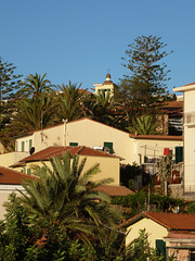 scorcio di Bordighera Alta