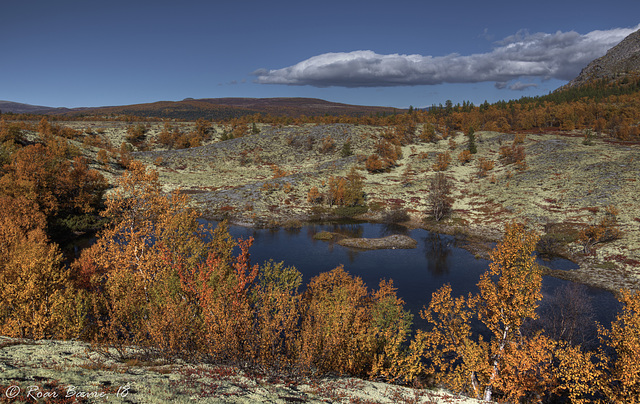 Døråldalen valley, Rondane mountains.