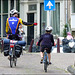 Amsterdam : catture in strada