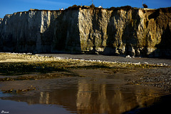 Criel sur Mer (Normandie)