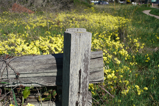 Coastal trail