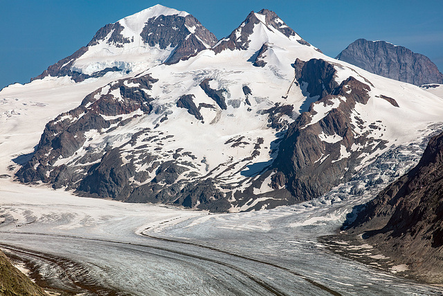 190725 Eggishorn Aletsch 13