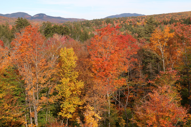 Autumn colors