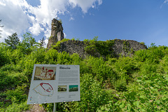 Ruine Wildenstein (PiP)