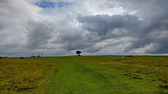 On Cleeve Common