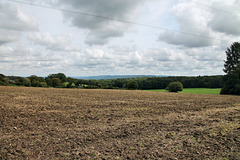 Blick über das Tal der Stefansbecke (Sprockhövel) / 2.09.2023