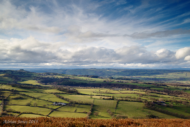 Oak Hill View